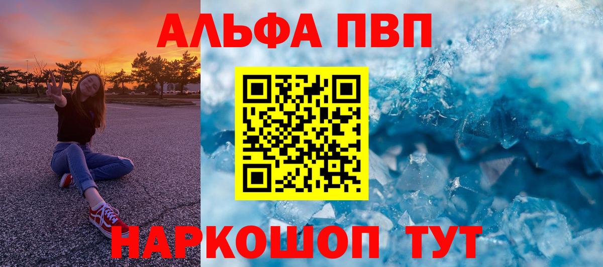 APVP СК Бийск