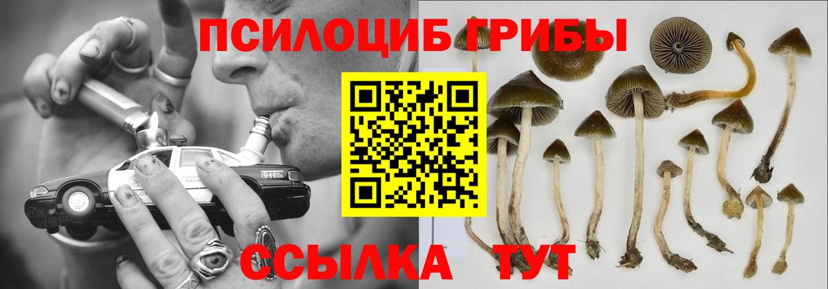 Галлюциногенные грибы Magic Shrooms  Вход с VPN  Псилоцибиновые грибы прущие грибы  Бийск 