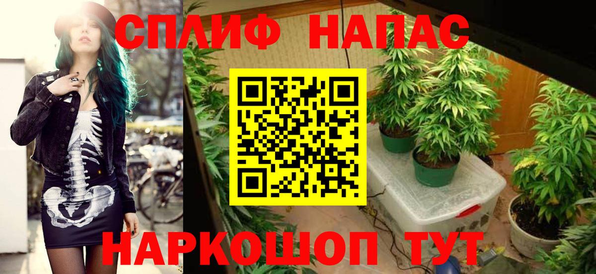 Каннабис Ganja  Конопля марихуана  Вход с VPN  Бийск 